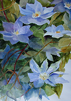 Climbing to the Light (Clematis), 34 inches by 20 inches